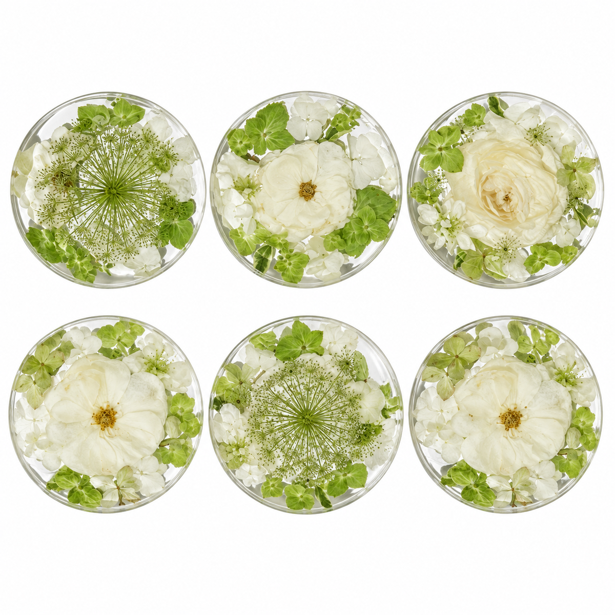 Coasters – Set of 6